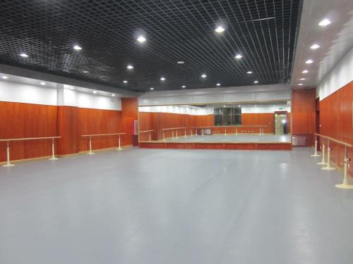 PVC舞蹈地胶批发