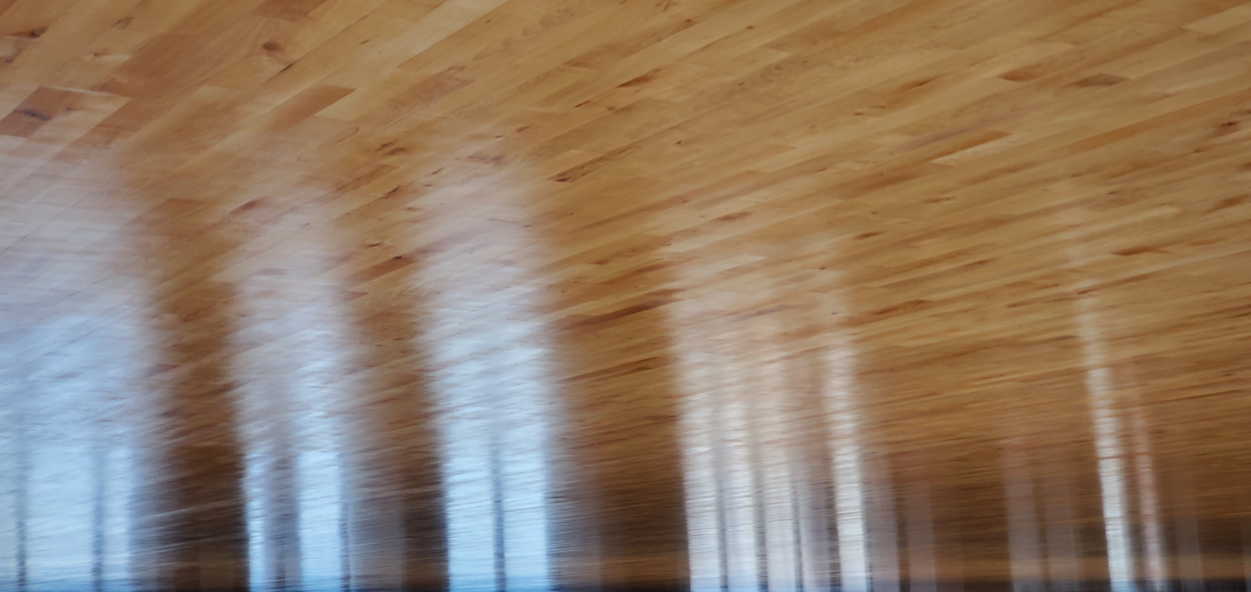 mmexport1679233477101